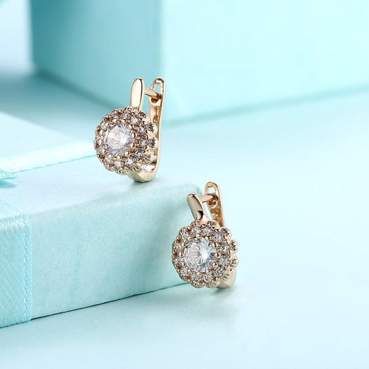 Luxe Crystal Micro Pav'e Bursting Star Leverback Earrings Set in Goldtone - Riakoob Jewelry