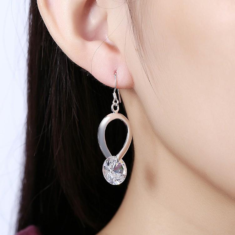 Twisted  Crystal Hook Earrings